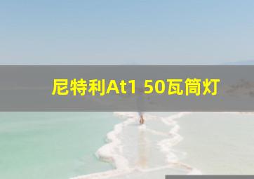 尼特利At1 50瓦筒灯